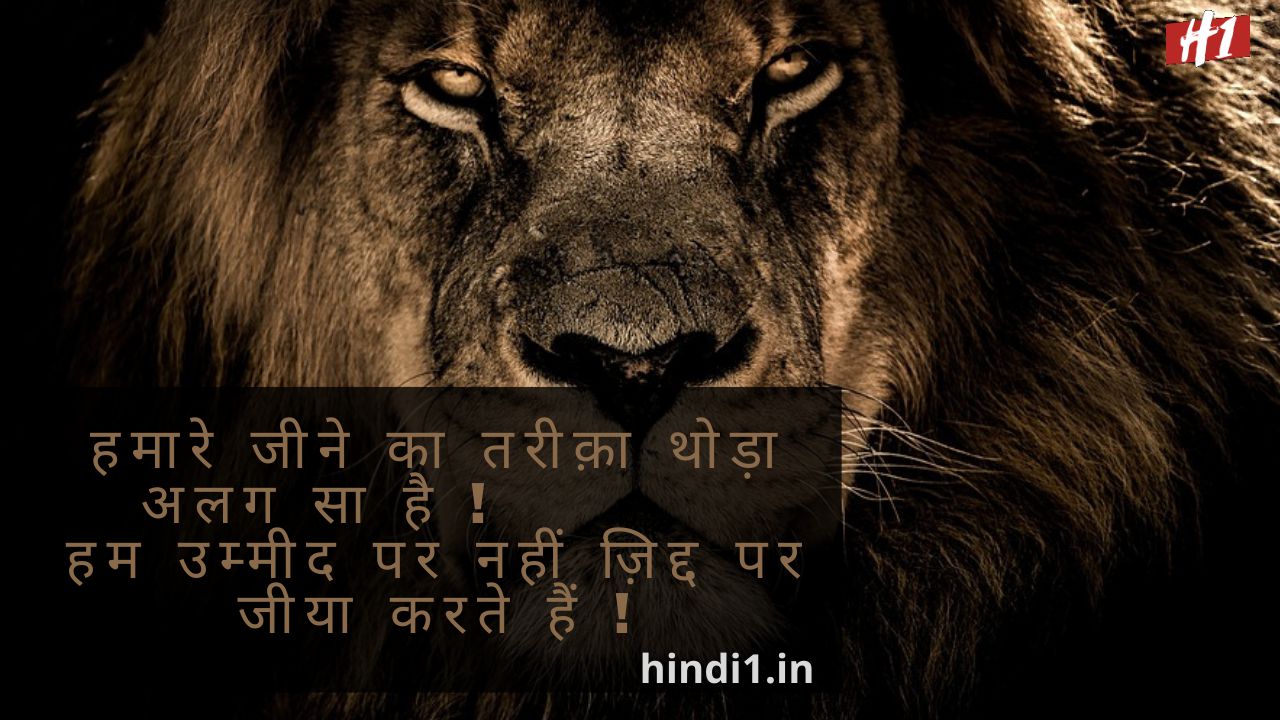 Attitude Quotes In Hindi For Girls And Boys 