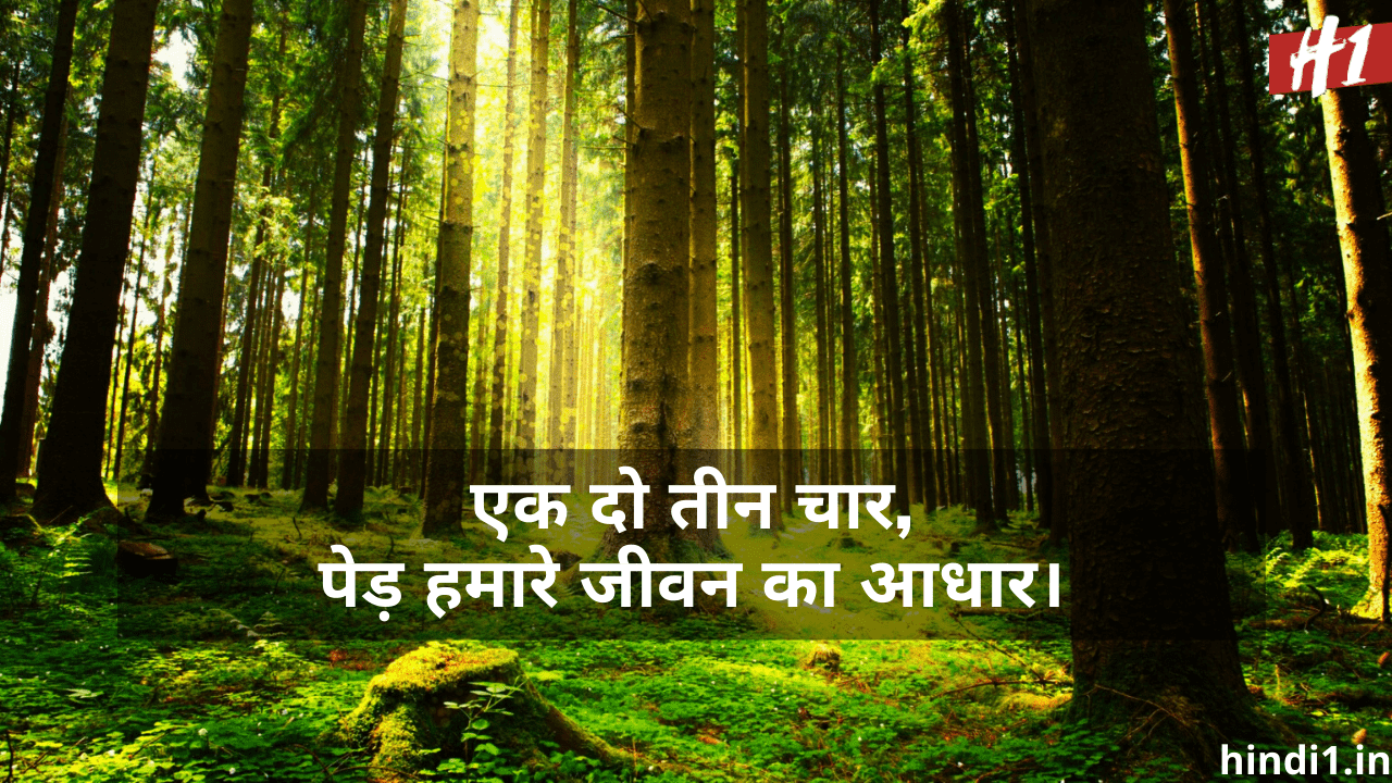 Slogan On Save Environment In Hindi2