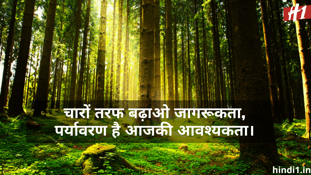 Slogans On Environment In Hindi3