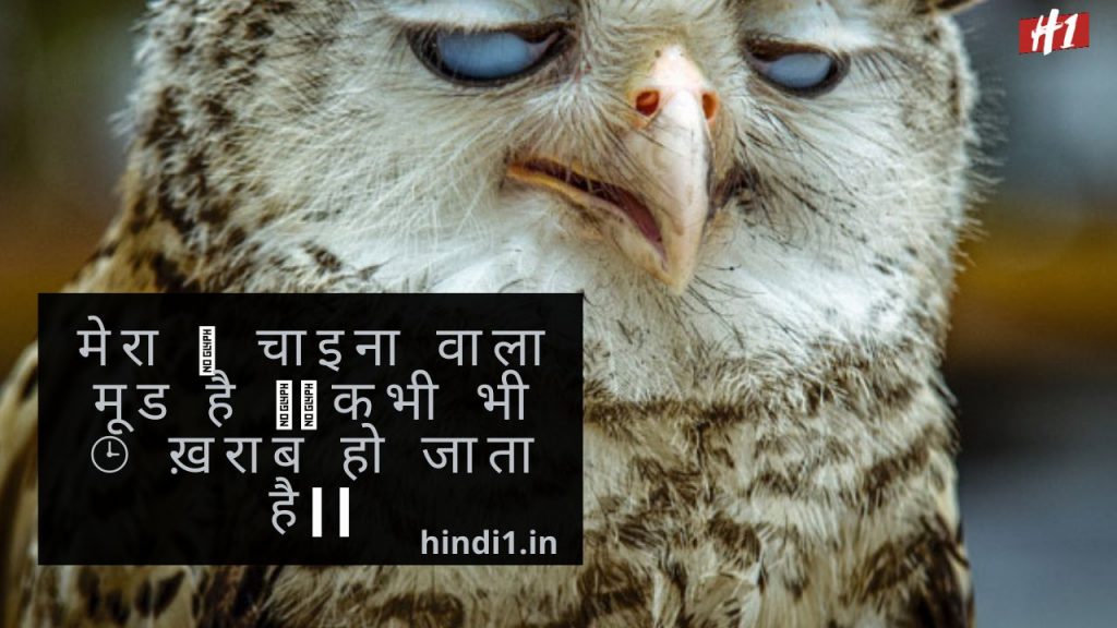 Funny Quotes In Hindi For Girl