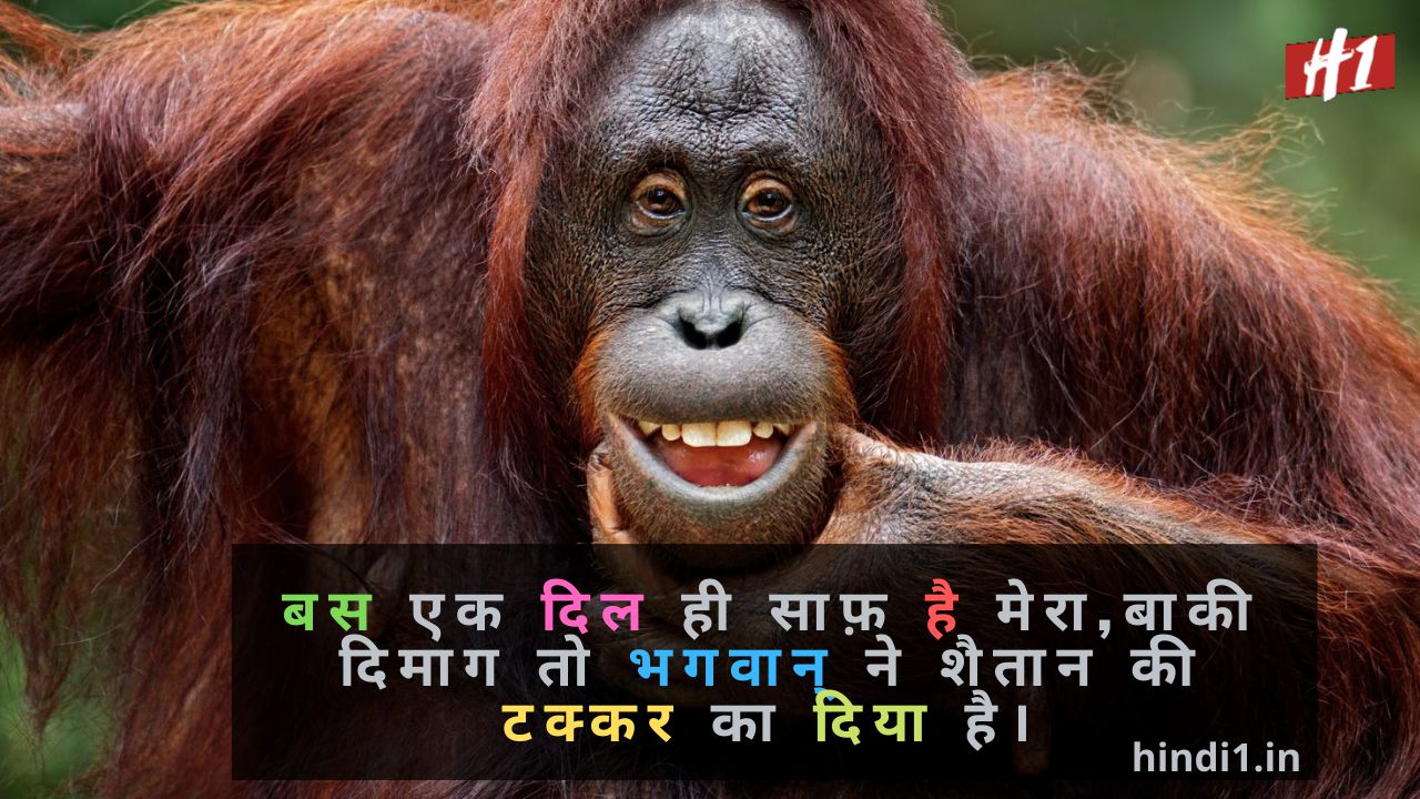 Funny Quotes In Hindi For Facebook