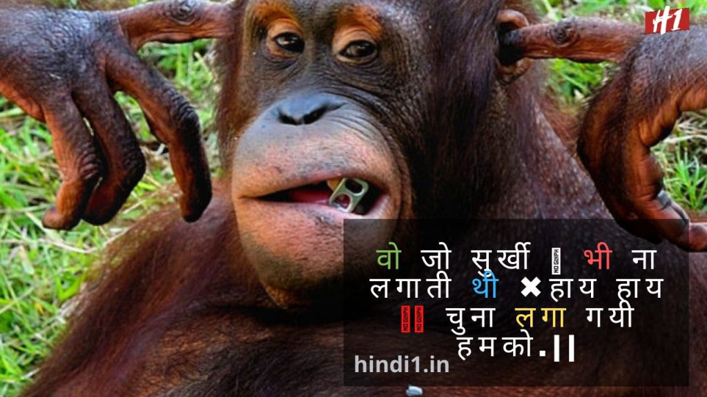 Best Funny Quotes In Hindi