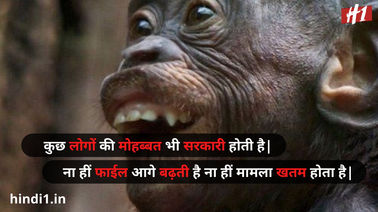 funny status in hindi for boy5