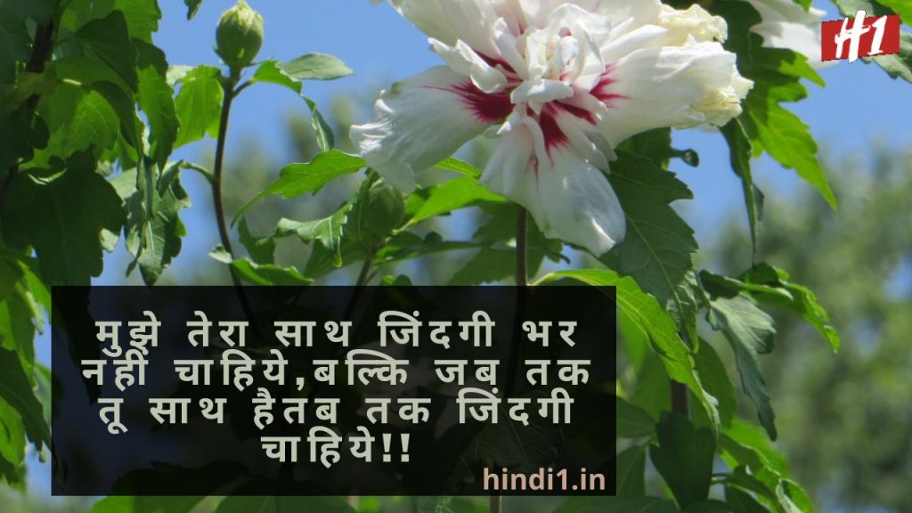 Good Morning Quotes In Hindi For Love2