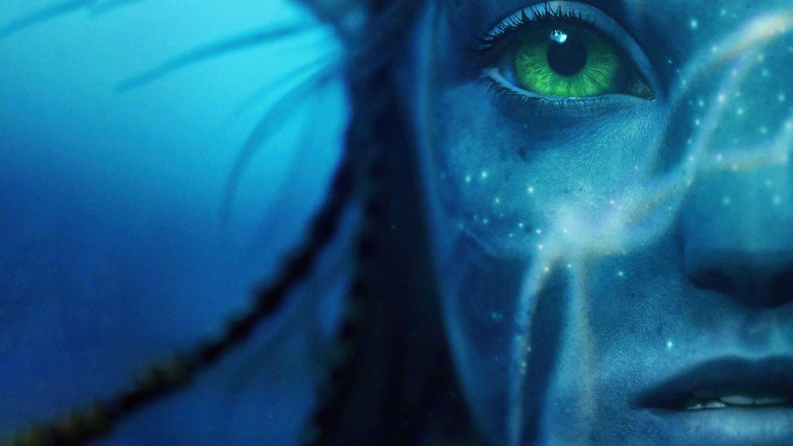 Phim Avatar 2 4K tải xuống hình nền